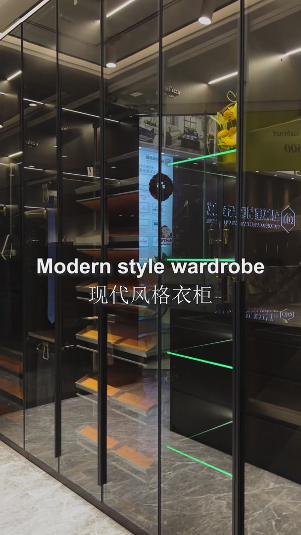 Modern Style Wardrobe