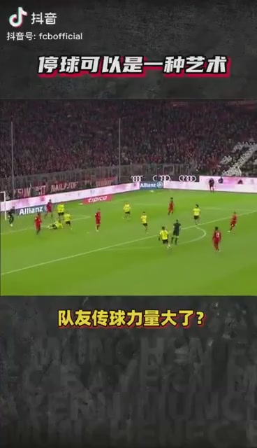 很多的语言